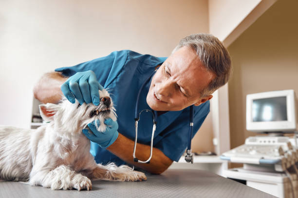 Best Emergency Dental Surgery in Logan, OH